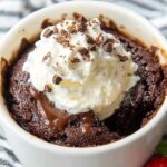 brownie in the mug