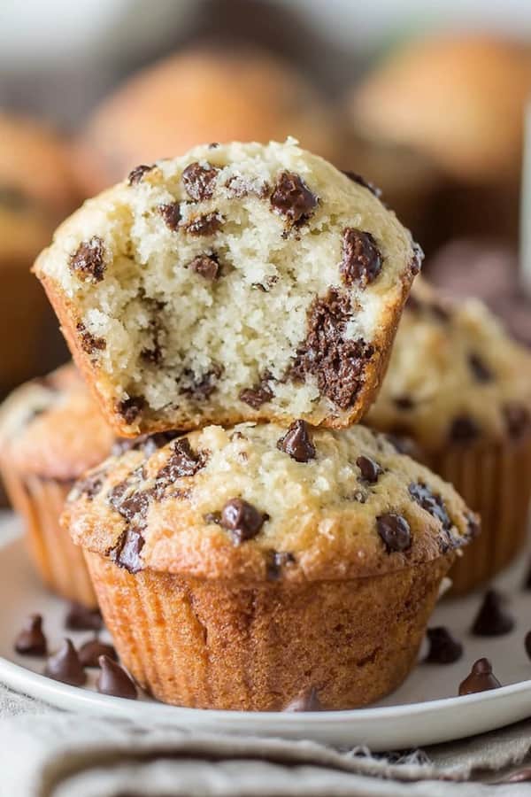 chocolate chip muffins recipe